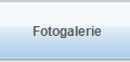 Fotogalerie